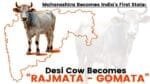 Maharashtra's Historic Decision: Desi Cow Becomes 'Rajmata' | देसी गाय को मिला 'राज्यमाता' का दर्जा