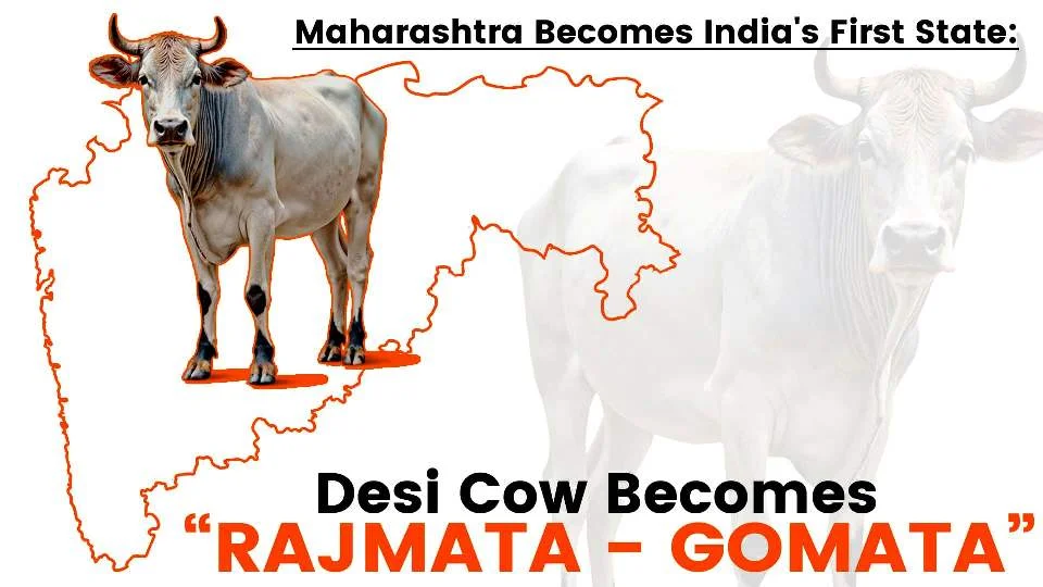 Maharashtra's Historic Decision: Desi Cow Becomes 'Rajmata' | देसी गाय को मिला 'राज्यमाता' का दर्जा